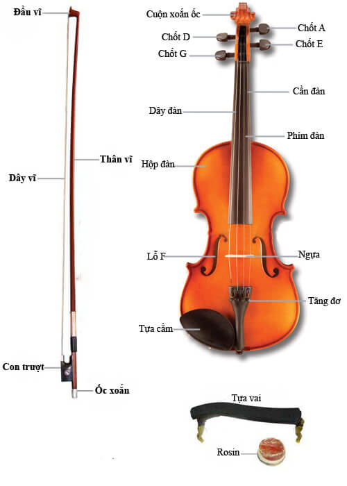 Tìm hiểu về cấu tạo của cây đàn Violin 2