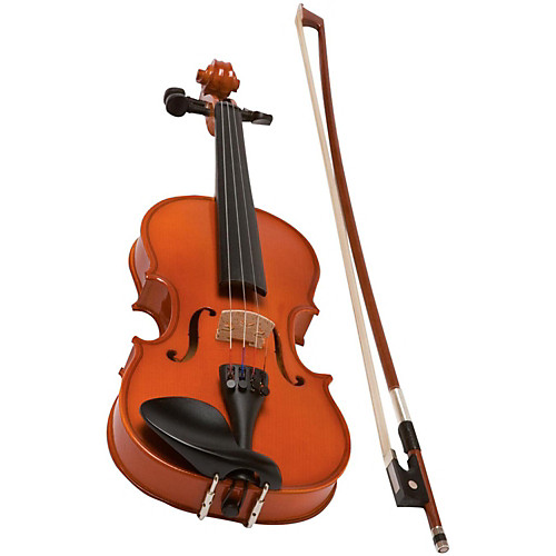 Các loại nhạc cụ trong dàn nhạc cổ điển 6
