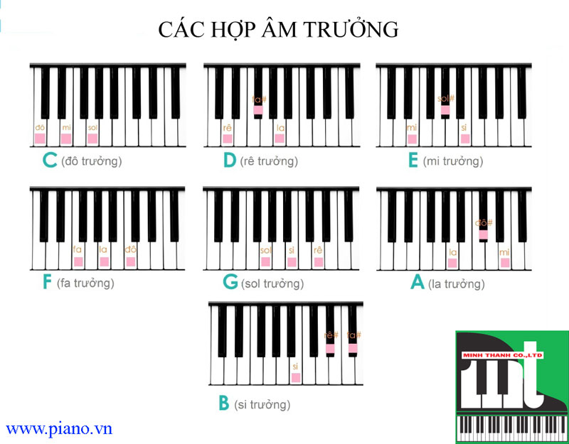 Giới thiệu cách đánh 14 hợp âm cơ bản trên đàn piano 3