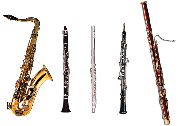 Các loại nhạc cụ trong dàn nhạc cổ điển 7