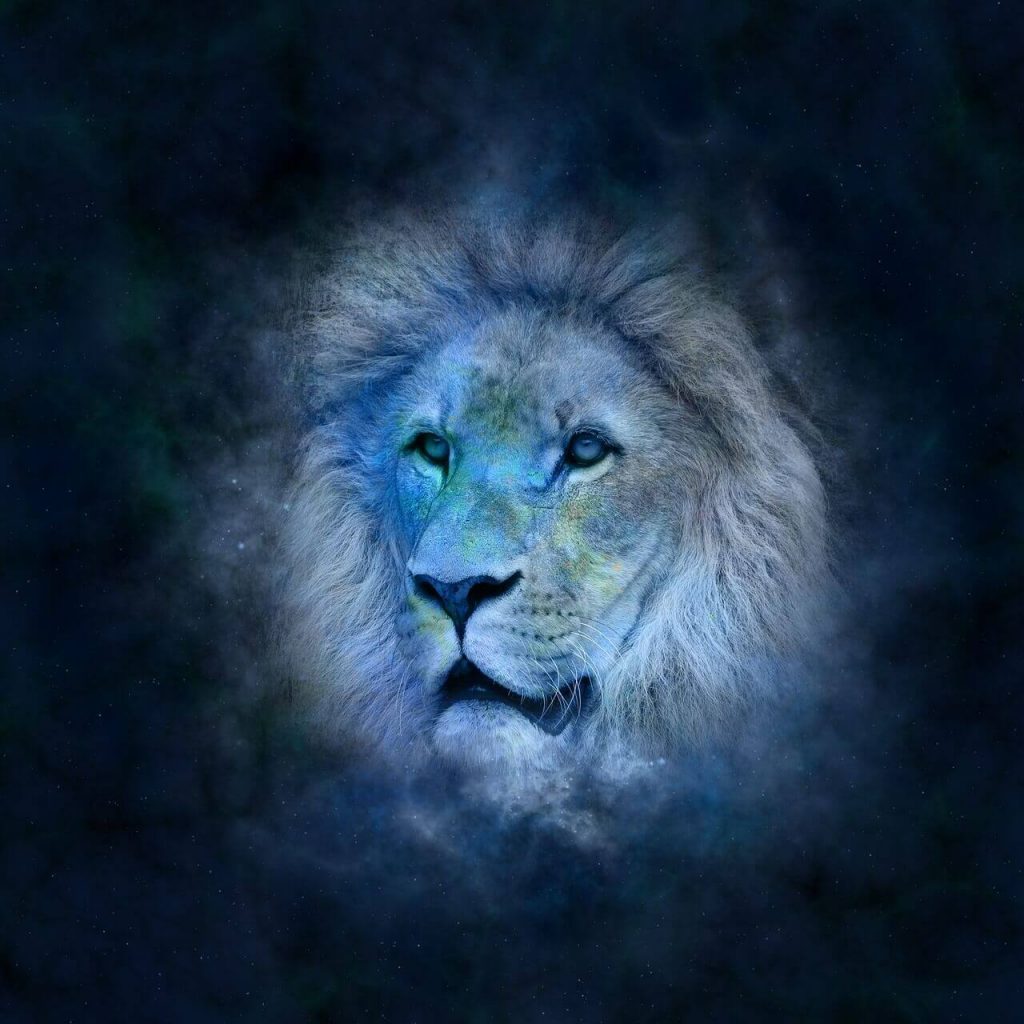 50 hình ảnh cung Sư Tử đẹp nhất | Sư tử, Hoàng đạo, Nhân mã