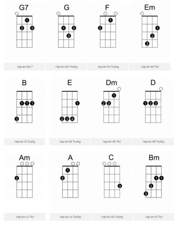 12 Hợp âm Ukulele cơ bản giúp bạn "đánh bài nào cũng chuẩn" Học viện