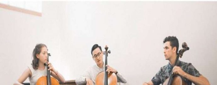 Học đàn cello