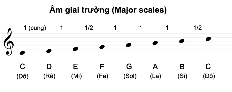 Âm giai Đô trưởng